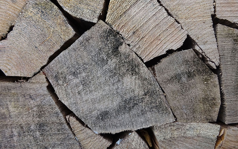 Zum Befeuern von Kaminen eignet sich trockenes Scheitholz am besten.