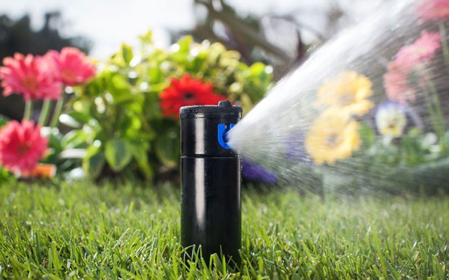 Der Regen kommt auf Bestellung - Online-Magazin für Braunschweig und