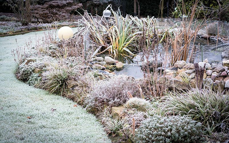 Teichpflege im Winter